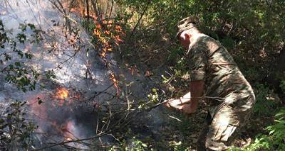 В Хосровском заповеднике вспыхнул пожар: площадь возгорания — около 7000 кв. м