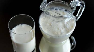 В России осенью могут вырасти цены на молоко