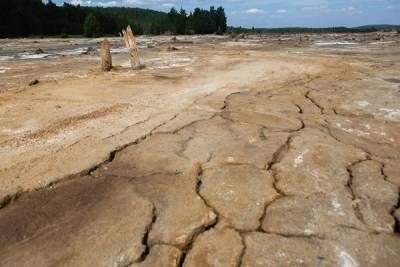Синоптик предупредил, что Центральную Россию ждет засуха, которой не было 10 лет