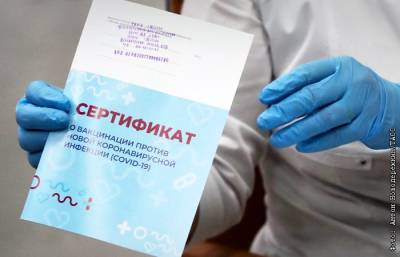 МВД в Москве с начала года завело 44 дела об изготовлении поддельных COVID-документов