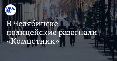 В Челябинске полицейские разогнали «Компотник». Фото