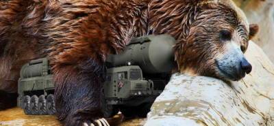 НАТО может лишь «трусливо подергать медведя за усы и драпануть от...