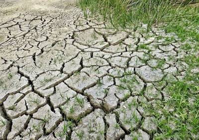 Россиянам предсказали сильнейшую за 10 лет засуху в июле