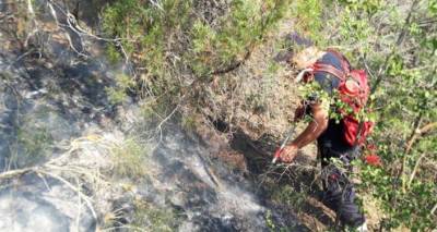 Пожар в Национальном заповеднике на востоке Грузии ликвидирован