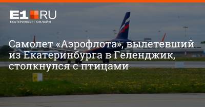 Самолет «Аэрофлота», вылетевший из Екатеринбурга в Геленджик, столкнулся с птицами