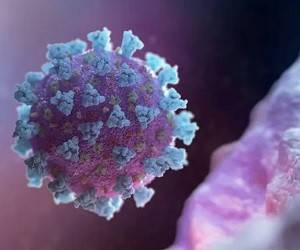 На лезвии ножа. Почему коронавирус в мире вновь идет в рост и спасет ли вакцинация