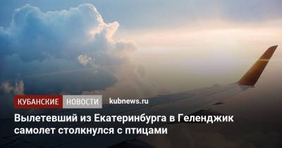 Вылетевший из Екатеринбурга в Геленджик самолет столкнулся с птицами