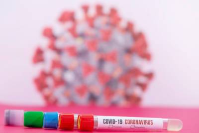 Еще 71 новгородец заболел коронавирусом