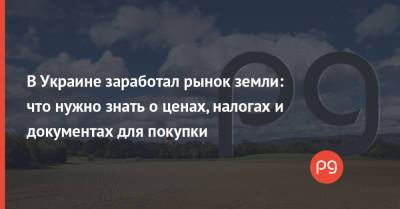 В Украине заработал рынок земли: что нужно знать о ценах, налогах и документах для покупки