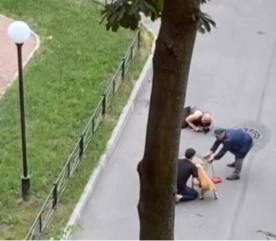 В Петербурге мужчина закрыл собой свою собаку, на которую напали два стаффорда