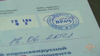 Новости на "России 24". В столице выявили 15 организаций, продававших поддельные справки о вакцинации