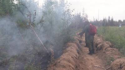 Новости на "России 24". Горящие леса Якутии тушат с помощью искусственных дождей