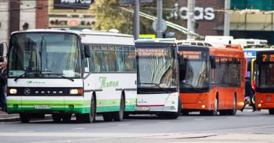 В Калининграде у нескольких автобусов и троллейбусов изменилась схема движения (список)