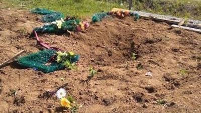 Медведь разрыл 7 могил в Хабаровском крае