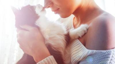 Новые корона-исследования: хозяева заражают своих собак и кошек