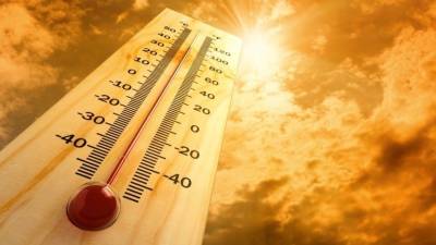 Число жертв жары в Канаде за сутки увеличилось почти до 500 человек