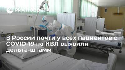 В России почти у 90 процентов пациентов с COVID-19, находящихся на ИВЛ, выявили дельта-штамм