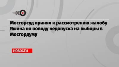 Мосгорсуд принял к рассмотрению жалобу Яшина по поводу недопуска на выборы в Мосгордуму