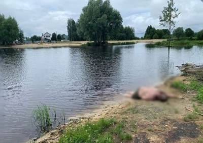 В рязанской деревне из воды подняли тело мужчины