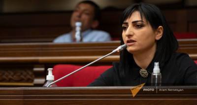 Независимый депутат подала в суд на вице-спикера парламента Армении