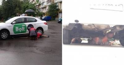 «Опасный пассажир»: в машине киевского такси обнаружили змею (ФОТО)