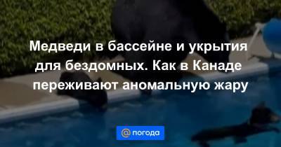 Медведи в бассейне и укрытия для бездомных. Как в Канаде переживают аномальную жару