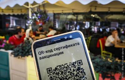 Кремль признал проблемы с системой QR-кодов в Москве