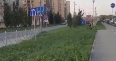 Необычная трава на одной из улиц Москвы вызвала споры в сети