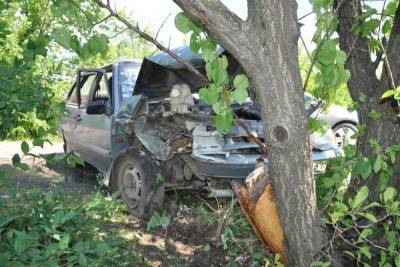 В Ростовской области пенсионер за рулем «пятнадцатой» врезался в дерево