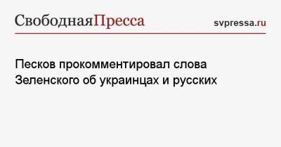 Песков прокомментировал слова Зеленского об украинцах и русских