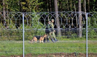 Пограничники Литвы задержали еще 36 незаконных мигрантов из Беларуси