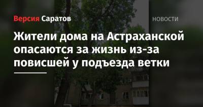 Жители дома на Астраханской опасаются за жизнь из-за повисшей у подъезда ветки