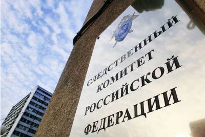 СК завел два уголовных дела из-за насилия в иркутском центре для сирот – Учительская газета