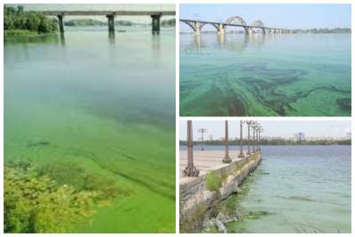 Днепр на грани экологической катастрофы, в реке нашли опасные вещества: экологи бьют тревогу
