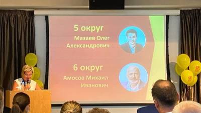 Амосова представили в качестве кандидата в ЗакС от эсеров