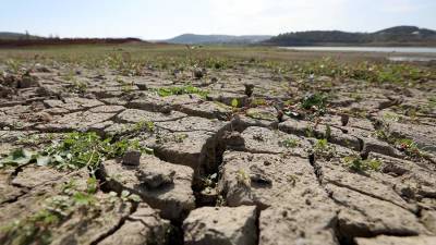 Вильфанд опроверг прогнозы о засухе в июле
