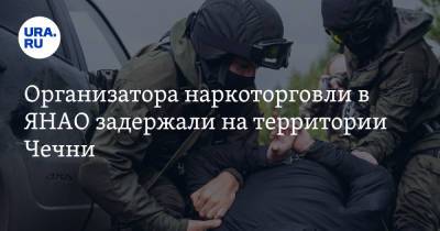 Организатора наркоторговли в ЯНАО задержали на территории Чечни. На него работали несовершеннолетние