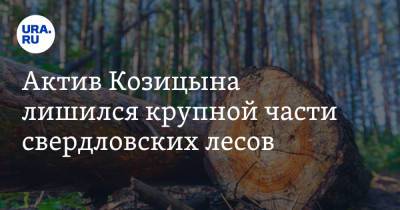 Актив Козицына лишился крупной части свердловских лесов