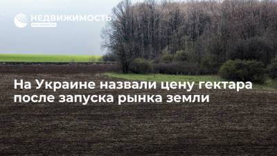 На Украине назвали цену гектара после запуска рынка земли