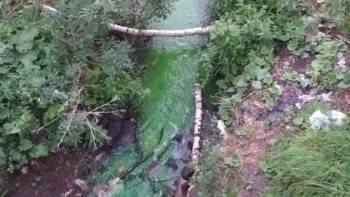 Экологическая катастрофа? В микрорайоне Лукьяново местная речка окрасилась в зеленый цвет