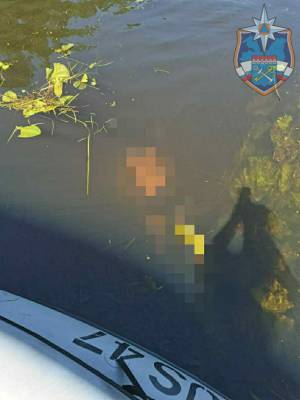 Мужчина утонул в реке Оредеж — фото