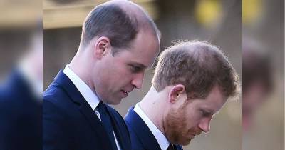 Примирення принців: Вільям та Гаррі мирно поспілкувалися у день 60-річчя принцеси Діани