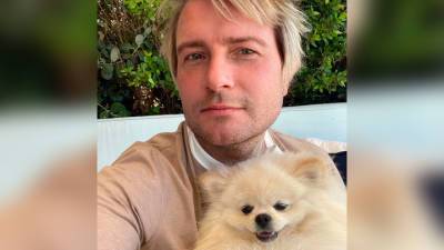 "Одно лицо": поклонников умилило фото Баскова с собачкой