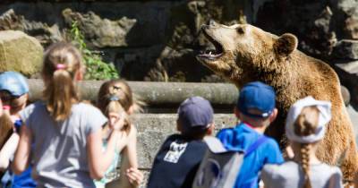 Калининградский зоопарк временно отменяет экскурсии и показательные кормления