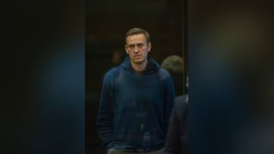 Соратники отбывающего срок Навального получили криптовалютный перевод в день прямой линии