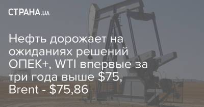Нефть дорожает на ожиданиях решений ОПЕК+, WTI впервые за три года выше $75, Brent - $75,86