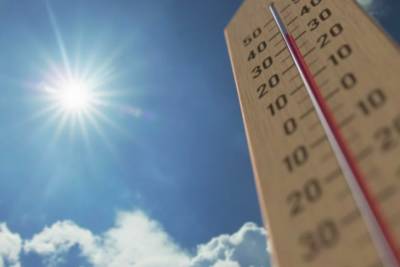 Из-за сильной жары в Канаде погибли более 130 человек