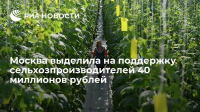 Власти Москвы выделили 40 миллионов рублей на поддержку сельхозпроизводителей в 2021 году