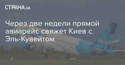 Через две недели прямой авиарейс свяжет Киев с Эль-Кувейтом