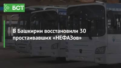 В Башкирии восстановили 30 простаивавших «НЕФАЗов»